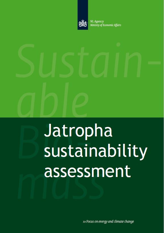 jatropha sustainability