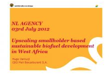 Cover Upscaling smallholder based sustainable biofuel development in West Africa