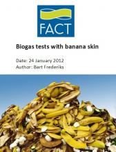 Biogas tests with banana skin