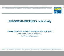 INDONESIA BIOFUELS case study