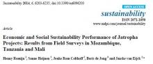 Economic and Social Sustainability Performance of Jatropha Projects
